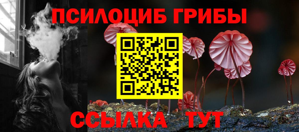 Галлюциногенные грибы Cubensis Южноуральск