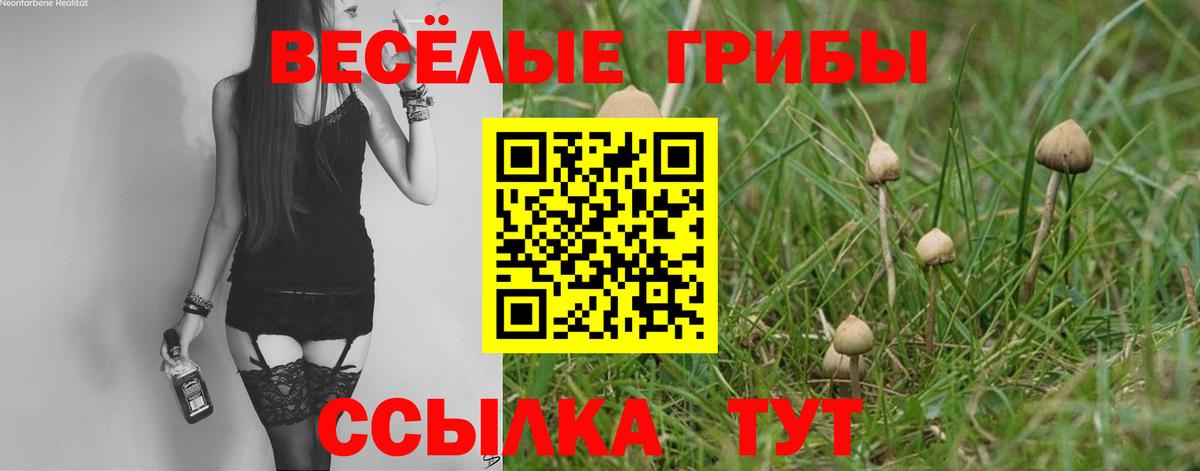 Южноуральск  Псилоцибиновые грибы Cubensis  Вход с VPN 